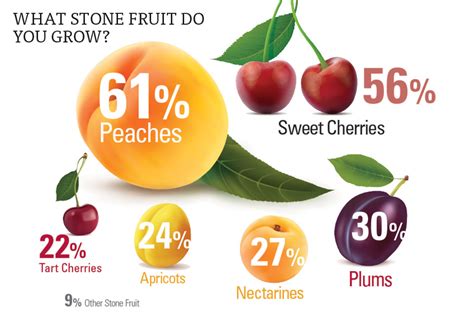 Weather Wreaks Havoc on Stone Fruit Season - Growing Produce