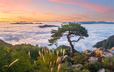 Wallpaper Autumn Clouds Landscape Mountains Nature Fog Tree