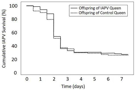 Survival Of Iapv Inoculated Offspring From Iapv Exposed And Control