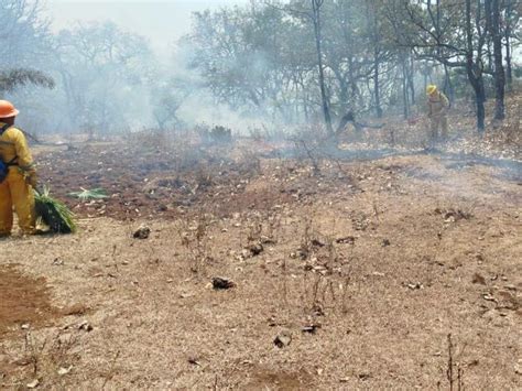 Incendios Forestales En Guerrero Dejan Tres Brigadistas Lesionados