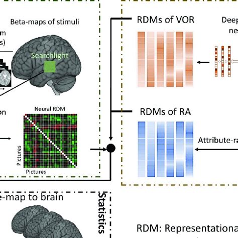 Procedure Of Representational Similarity Analysis With Computational