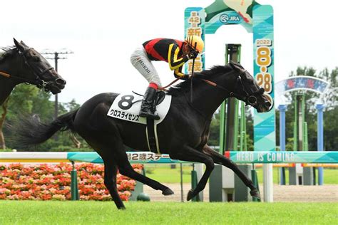 【2歳新馬・新潟5r】クロスライセンスが叩き合いを制して新馬勝ち サンスポzbat