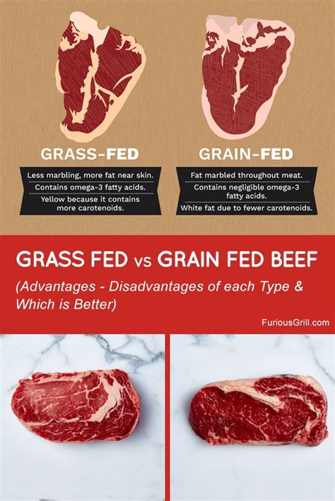 Grass Fed Vs Grain Fed Beef All Differences And Which Is Better In 2021 How To Cook Steak