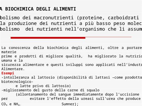 Ppt La Biochimica Degli Alimenti 1 Il Metabolismo Dei Macronutrienti Proteine Carboidrati E