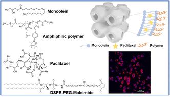 Paclitaxel Loaded Cubosome Lipid Nanocarriers Stabilised With Ph And