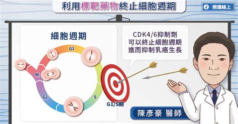 晚期乳癌治療再突破，cdk46口服標靶藥物，跨越5年存活期瓶頸，腫瘤專科醫師圖文解說 照護線上