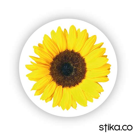 Pack Of 24 72 240 Sunflower Paper Labels Sunflower Etsy