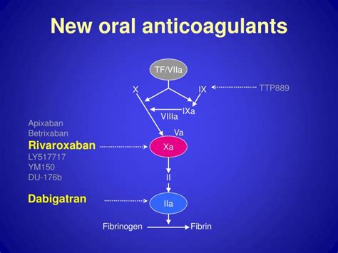 Ppt New Oral Anticoagulants Powerpoint Presentation Free Download Id2896940