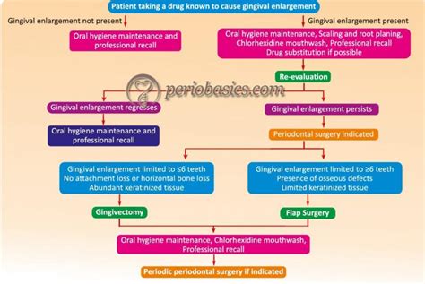 Gingival Enlargement Clinical Periodontology