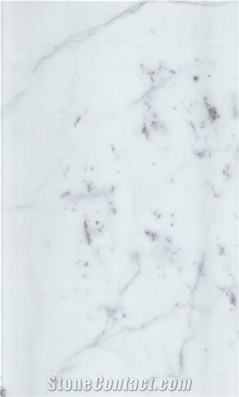 Bianco Statuario Marble From Italy