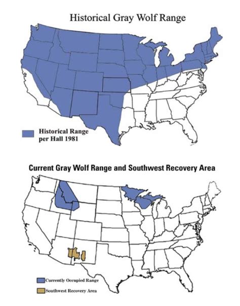 Grey Wolf Range