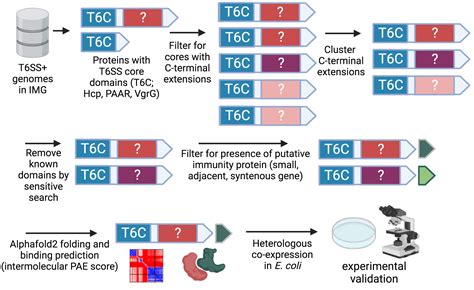 Asaf Levy On Twitter We Started With K T Ss Encoding Genomes