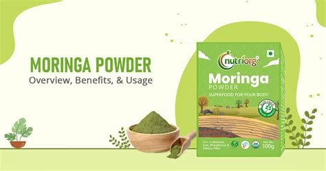 Moringa Powder Overview Benefits And Usage Nutriorg