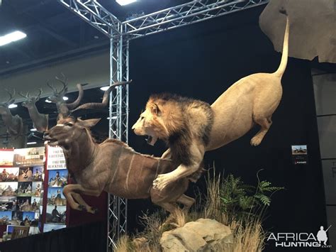 Lion And Kudu Full Mount Taxidermy