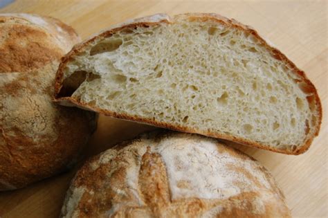 pugliese bread recipes wiki fandom