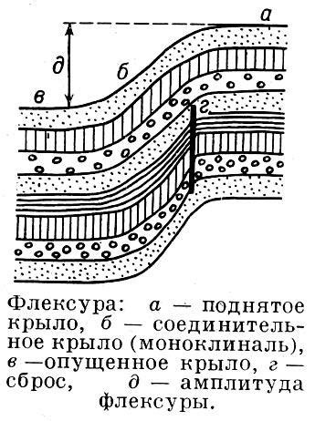 1.2 Флексура