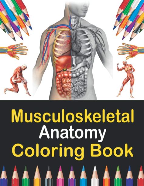 Musculoskeletal Anatomy Coloring Book Now You Can Learn And Master The Muscular System With