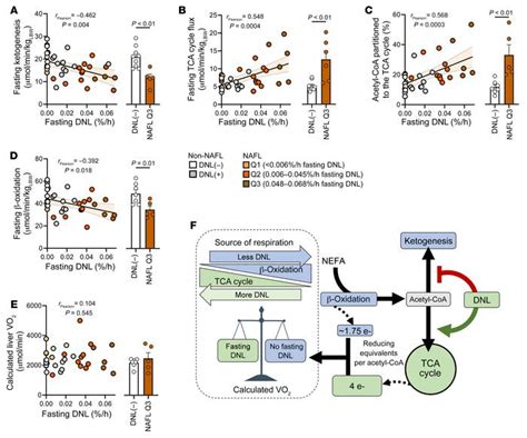 JCI Persistent Fasting Lipogenesis Links Impaired Ketogenesis With