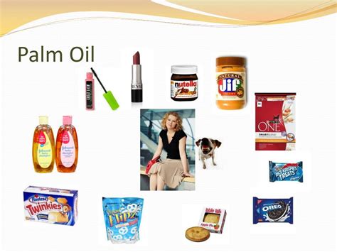 PPT - Palm Oil PowerPoint Presentation, free download - ID:2615340