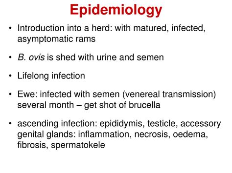 Ppt Brucellosis 2 Powerpoint Presentation Free Download Id4553726