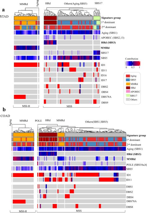 Mutational Signatures Reveal Mutual Exclusivity Of Homologous