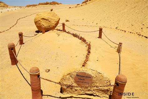 Visit The Valley Of The Whales And Wadi Hitan Inside Egypt