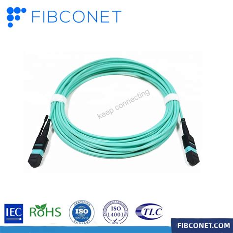 Fiber Optical Optic Om3 Mpo To Mpo Fiber Optical Optic Patchcord China Patch Cord And Mpo