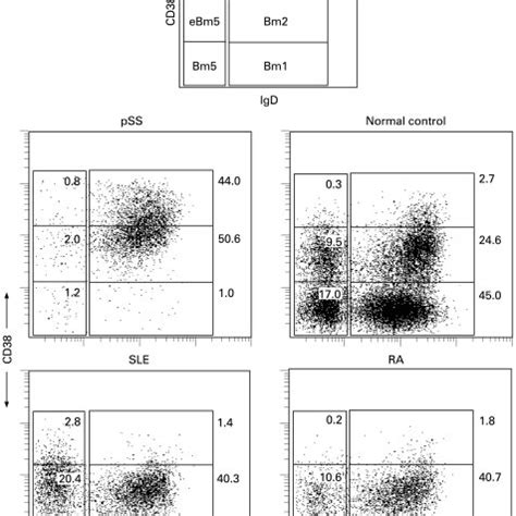Expression Of IgD And CD38 Distributes Mature B Bm Cells Into