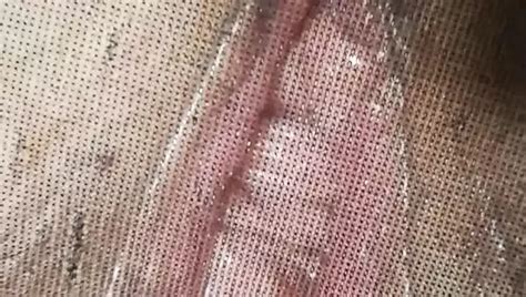 Free Sheer Panties Porn Videos XHamster