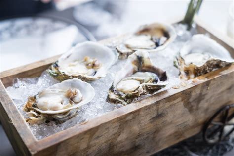 8 Oyster Bars In Singapore For The Freshest Shellfish Lifestyle Asia