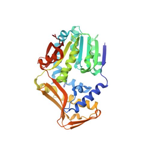 RCSB PDB 4UY7 Crystal Structure Of Histidine Bound Histidine