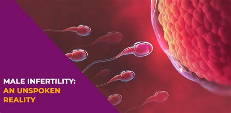 Male Infertility An Unspoken Reality Zeeva Fertility