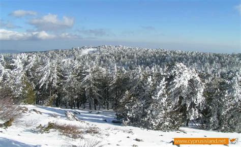 Troodos Mountain Range | Cyprus Island