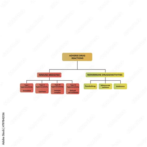 Diagram Showing Types Of Adverse Drug Reactions Immune Type I Iv