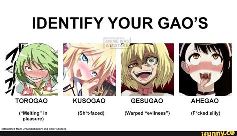 IDENTIFY YOUR GAO S Ass 7 G I TOROGAO KUSOGAO GESUGAO AHEGAO Melting