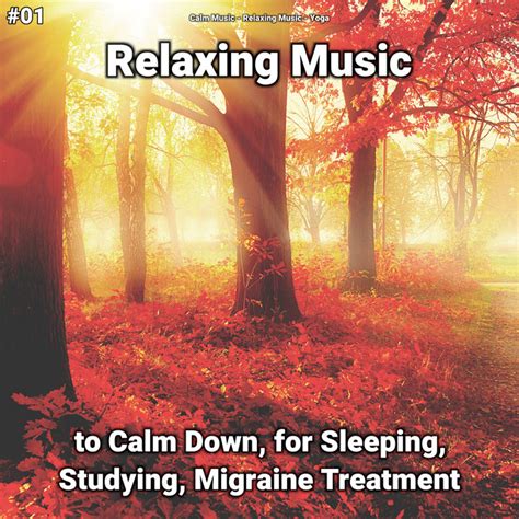 01 Relaxing Music To Calm Down For Sleeping Studying Migraine