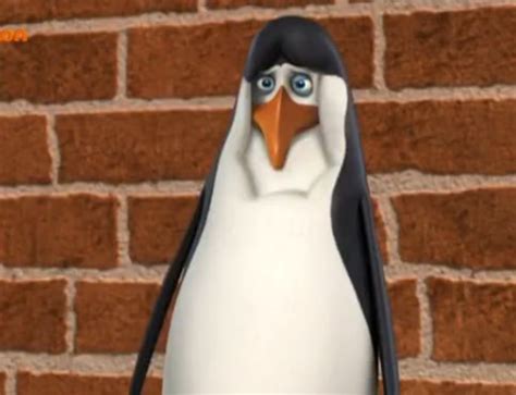 Kowalski XD - Penguins of Madagascar Photo (27507410) - Fanpop