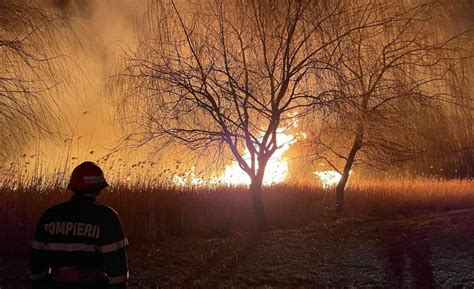 Incendiile De P Dure Iau Amploare Pe Ntreaga Planet