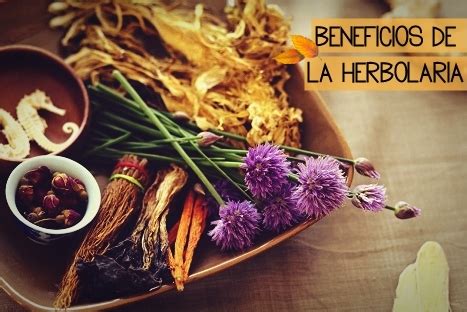 Cómo funciona y beneficios de la herbolaria