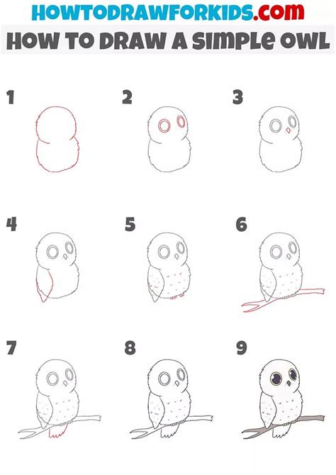 How To Draw An Owl Step By Step