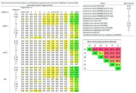 Cross Immunity Of Natural Nisin Variants With Nisin E Producers On Download Scientific Diagram