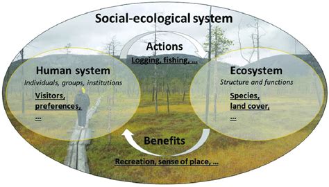 Elements Of A Social Ecological System In A Conceptual Diagram The