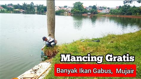 Info Terbaru Spot Mancing Liar Jakarta Danau Rawa Babon Pkp Youtube