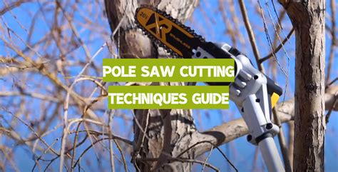 9 Pole Saw Cutting Techniques For Beginners Polesawguide