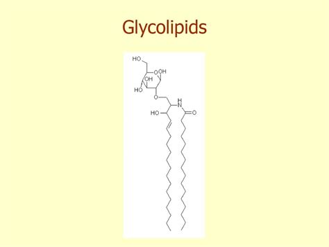 The Macromolecules of the Cell - ppt download