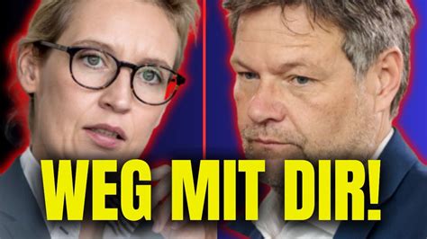 Hau Endlich Ab Alice Weidel Dem Tigt Habeck Vor Millionen Zuh Rern