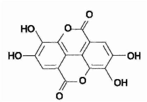 Ellagic Acid Alchetron The Free Social Encyclopedia