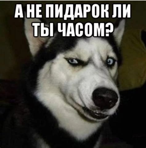 жизнь после 60 стр 12 : Guns.ru Talks
