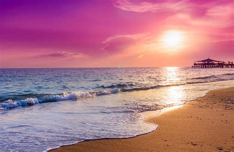 Questa spiaggia dalla sabbia viola è una vera rarità ci vanno i