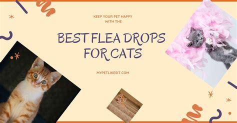 Best Flea Drops For Cats: Get Rid of Cat Fleas Quickly - My Pet Likes It